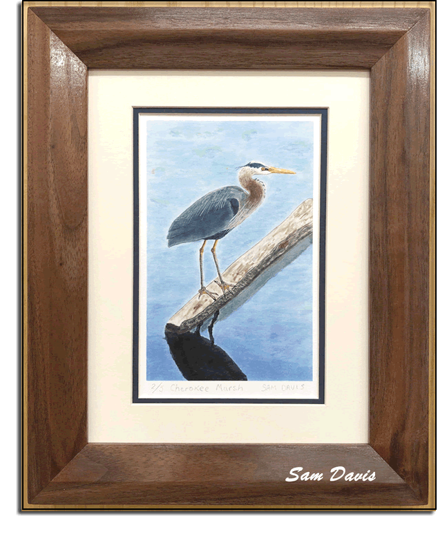 Great Blue Heron at Cherokee Marsh-India Ink painting by Sam Davis 2019